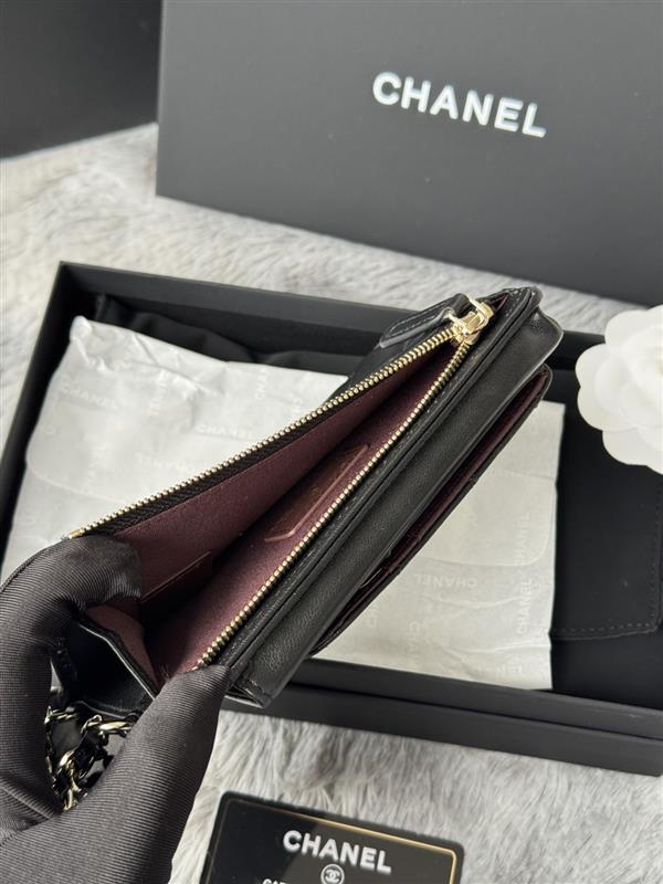 2026131221823668 350